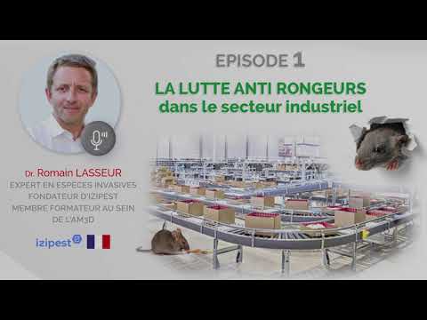 WEBINAR SERIES AM3D: Episode 1 - LA LUTTE ANTI RONGEURS dans le secteur industriel