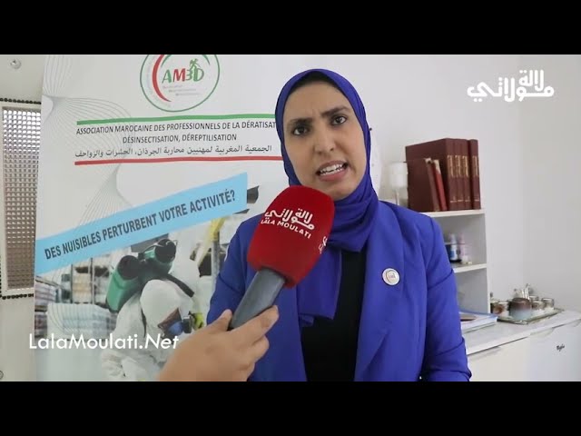 L' association AM3D parle du risques NUISIBLES (Insectes - rongeurs..)