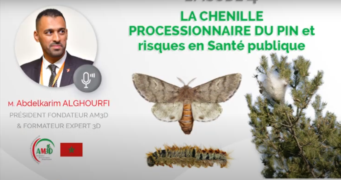 WEBINAR SERIES AM3D: Episode 4 - LA CHENILLE PROCESSIONNAIRE DU PIN : Biologie et méthodes de lutte